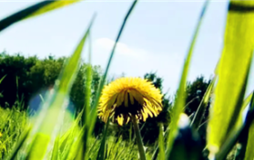 2024年北京5月份的温度大约是多少图3