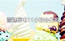 冰柜停电一晚上雪糕会化吗 雪糕停电11小时会化吗