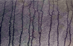 2024年成都3月份有回南天吗图3