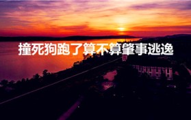 撞死狗跑了算不算肇事逃逸（撞狗后直接走了算不算肇事逃逸）