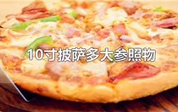 10寸披萨多大参照物