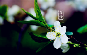 2024年春分有雨怎么样图3