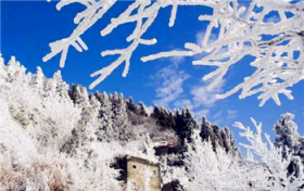 2024年出九是哪一天图3