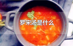 罗宋汤是哪里的菜（罗宋汤是哪国菜）