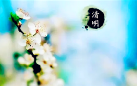 2024年北京清明节扫墓要预约吗图1