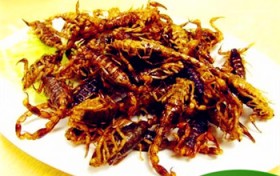 蝎子养殖效益（蝎子养殖效益如何）图2