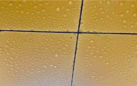 2024年广东3月份还会回南天吗图2