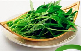 空心菜是啥季节（空心菜的生长季节）