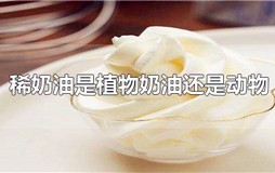 稀奶油是植物奶油还是动物奶油