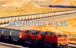修眉刀片能带上火车吗 坐火车修眉刀可以带吗