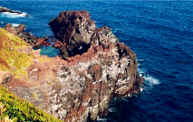 2024年3月份去济州岛冷不冷图2