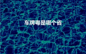 车牌粤是哪个省（粤是哪个省的车牌号）