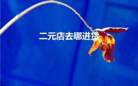 二元店去哪进货（开个2元店从哪里进货）