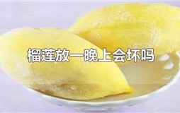 榴莲放一晚上会坏吗