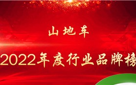 山地车自行车十大名牌（山地自行车品牌排行榜前十名）