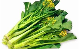 菜心在北方叫什么（北方如何称呼菜心）
