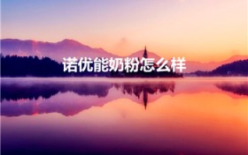诺优能奶粉怎么样（诺优能一段奶粉配方表、怎么样）图1