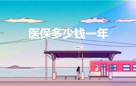 医保多少钱一年（医保费一年多少）图1