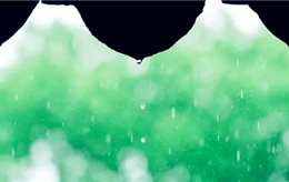 2024年武汉什么时候进到梅雨季图3