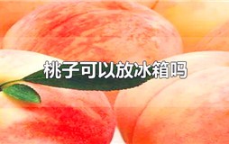 桃子可以放冰箱吗