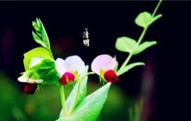 2024年清明节哪天三倍工资图3