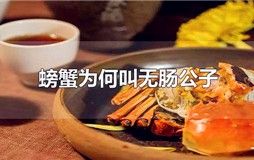 螃蟹为何叫无肠公子
