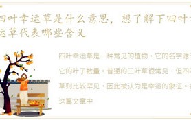 四叶幸运草代表什么意思，想知道下四叶幸运草代表什么含意