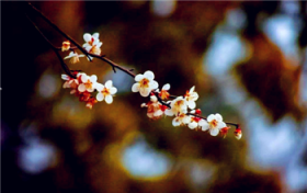 2024年躲春几点到几点结束图3