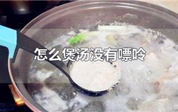 怎么煲汤没有嘌呤
