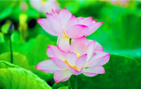 2024广东夏季什么时候逐渐图3