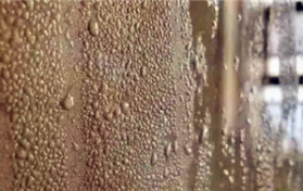 广西有回南天吗2024图1