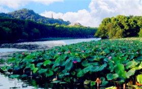 2024年夏季从什么时候开始算图3