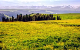 2024年是夏季更热或是全年度都热图2