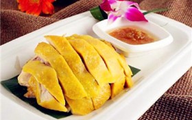 白斩鸡用什么鸡最好（制作白斩鸡的最佳鸡种选择）