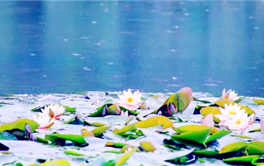 2024年五六月是梅雨季节吗图2