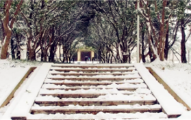 武汉2024年春节过后会下雪吗图1