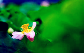 2024年五六月是梅雨季节吗图3