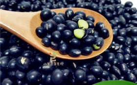黑豆里面是什么颜色（黑豆内部结构颜色揭密）