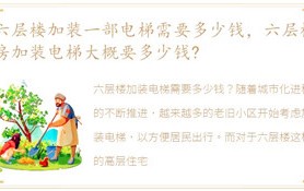 六层楼改装一部电梯需要多少钱，六层楼房改装电梯需要多少费用-