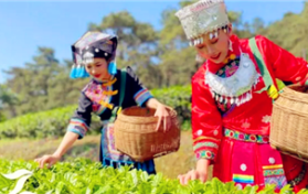 2024年广西三月三法定假日几天图1