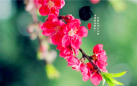 2024清明时节补哪一天课程图2