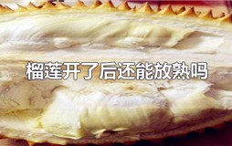 榴莲打开是生的还能放熟吗？榴莲剥开了不熟能放熟吗