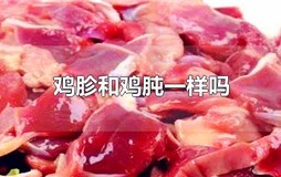 鸡胗和鸡肫一样吗
