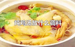 家常炖鸡汤放什么调料 炖鸡汤放什么调料合适