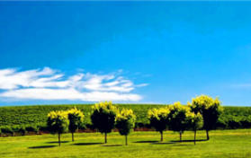 2024年北京夏天是几月到几月图1