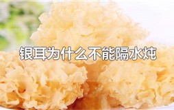 银耳为什么不能隔水炖