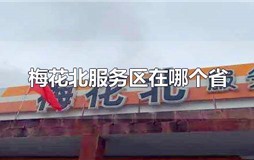 梅花北服务区在哪个省