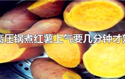 高压锅煮红薯上气要几分钟才熟