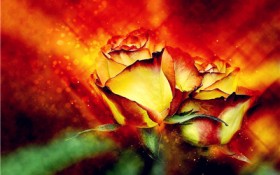 个人医疗保险一年要交多少钱（居民个人医保一年交多少钱）图3