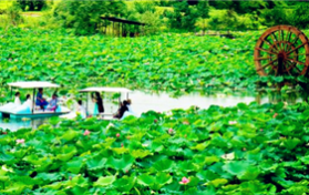 2024年夏季从什么时候开始算图1